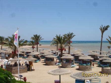 ��� �� ����