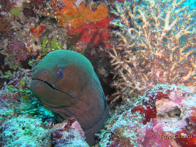 ������...