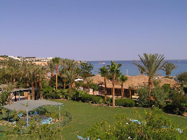 ��� � �����