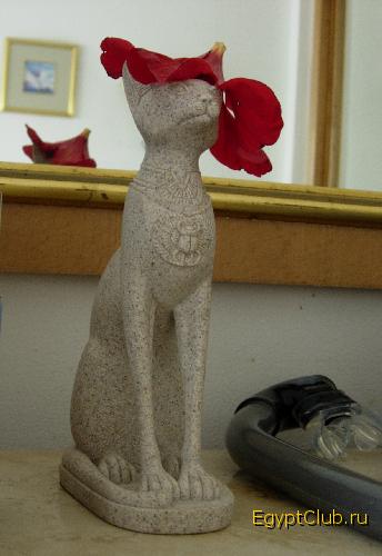 ������ 2007