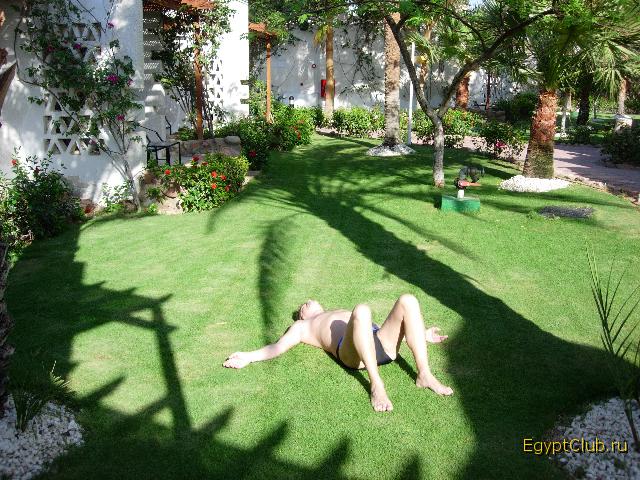 ������ 2007