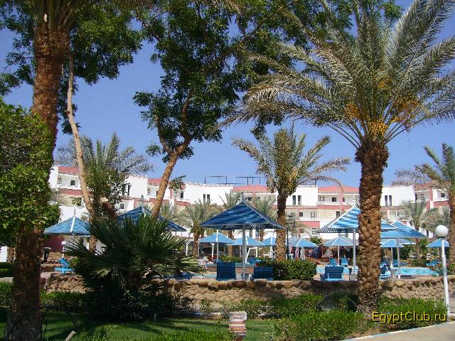 ������� � ������� ������  Beach Albatros Sharm