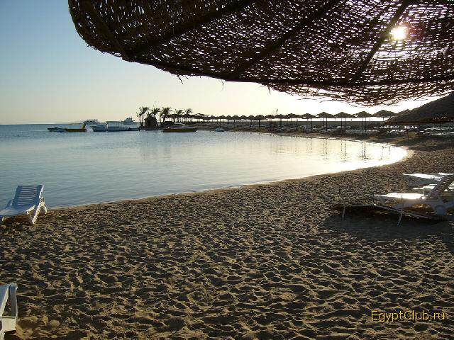 ���� - �����!