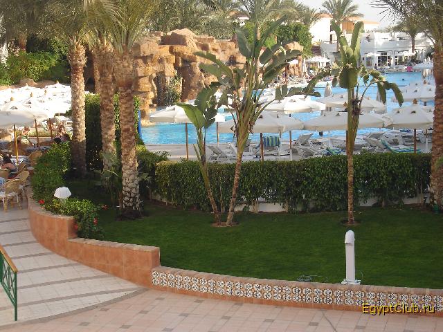 ������� ����� ������