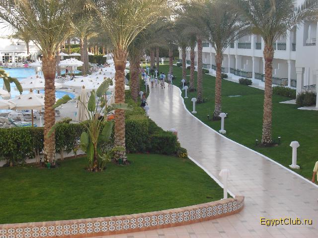 ������� ����� ��������