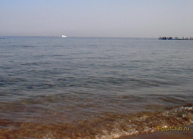 ��� ���������