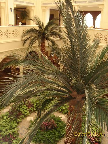 ������ �� �������