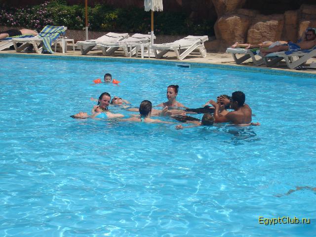 ������������ � ��������