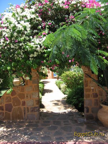 ��� ����� �������!