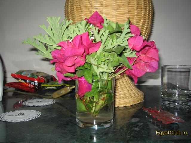 ������� �� ���������