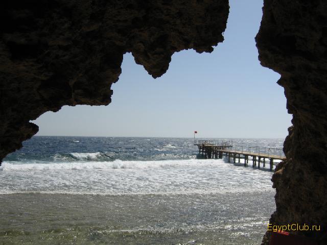 ��� �� �����