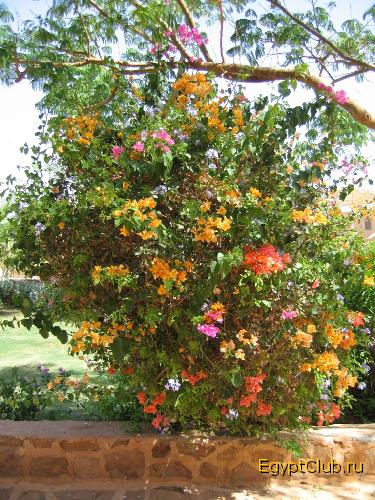 ������ � ������������� �������