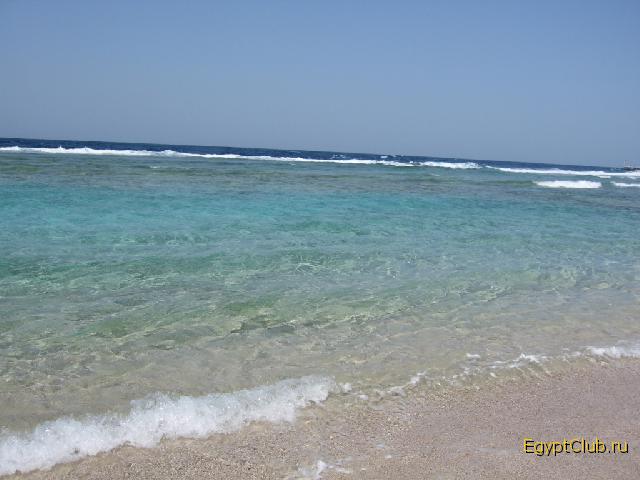 ������������ ����