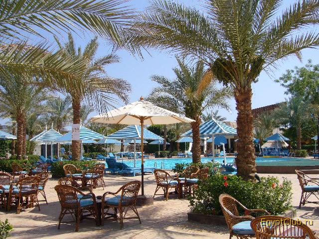 ��� � �������� Beach Albatros Sharm