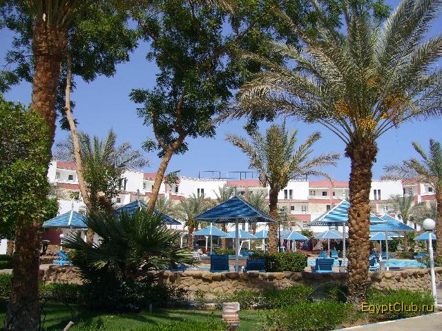 ��� �� ������� � ������� ������ Beach Albatros Sharm
