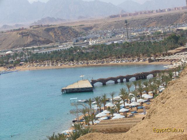 ���� Beach Albatros Sharm � ��� �� ������ �����