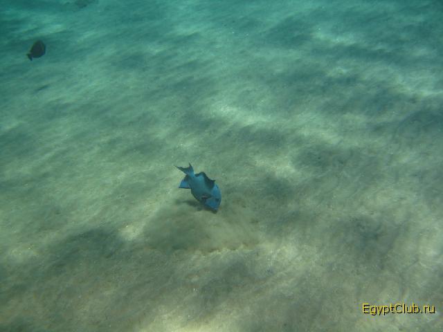 ��������� ��� ��� ������