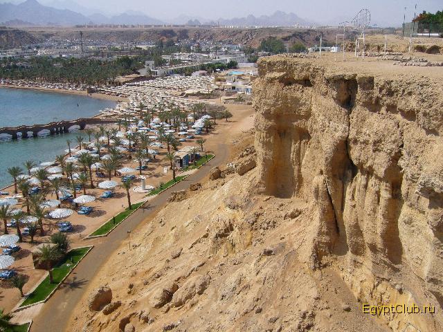 ���� Beach Albatros Sharm � ������ � ������� ������