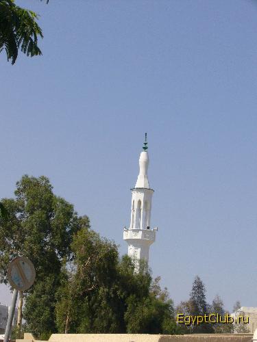 ������ ����� � Beach Albatros Sharm