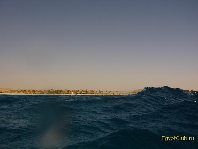 ��� �����