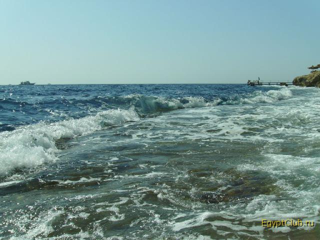 ��� � �����