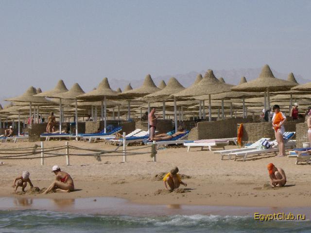 ������ ��� ������