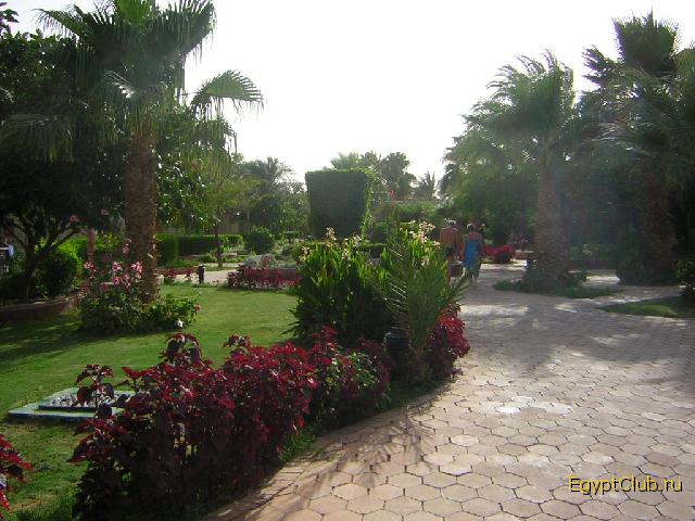 ������� ��� ������