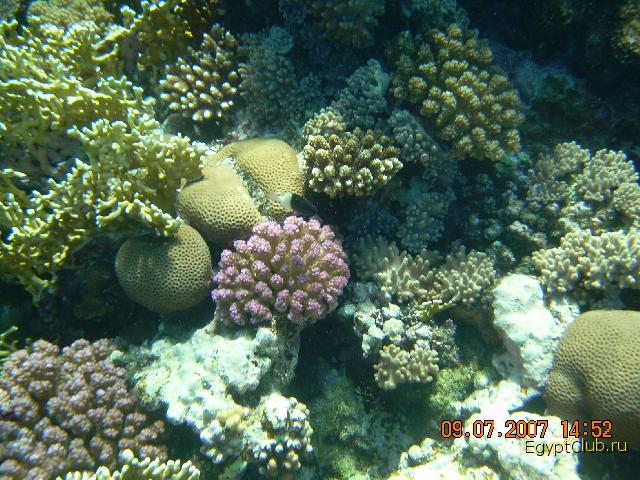 �������� �������