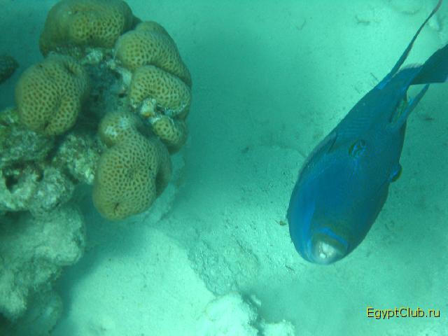 ���������  ����