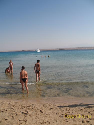 ��� �������� ���� �����