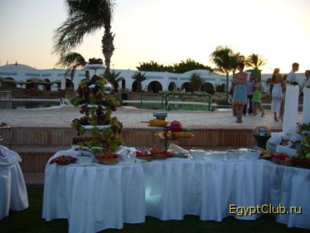 ���� ������ ��������