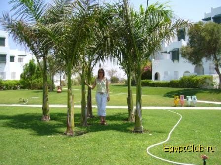 ���������� �����