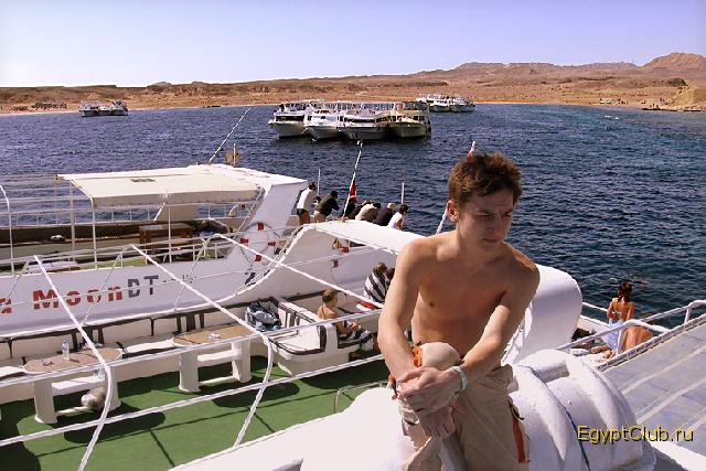 ���-��������