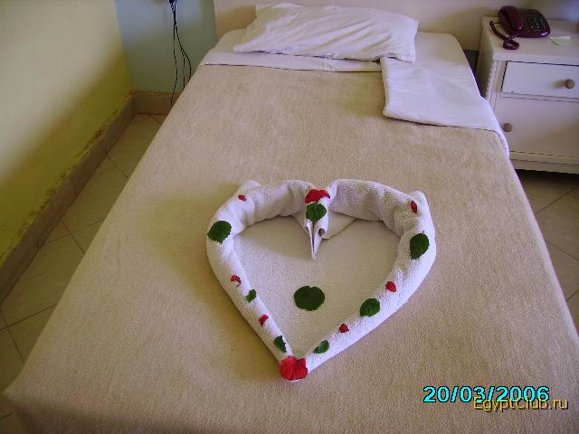 ���� ���� ����