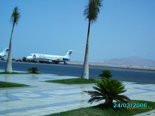 ���� ���� ����