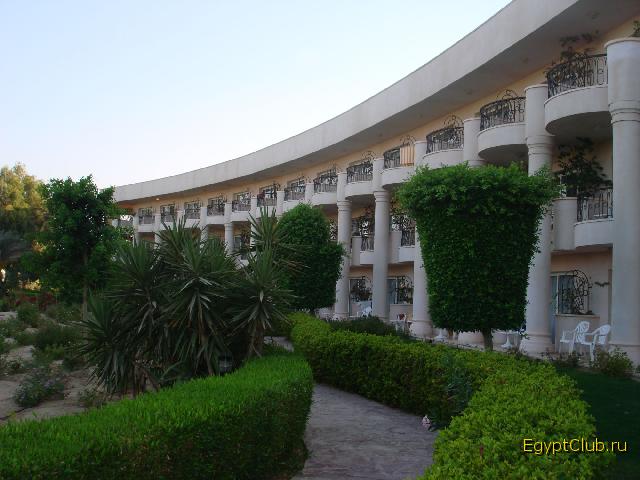 ���� ���� �����