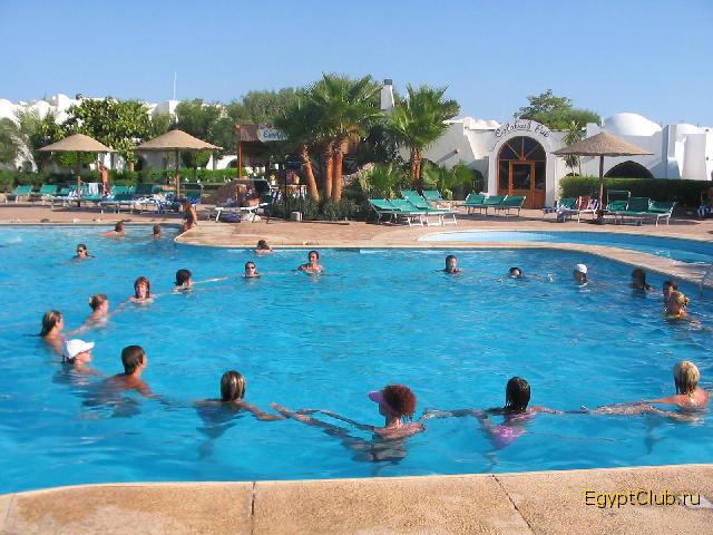 ������� ������� Domina