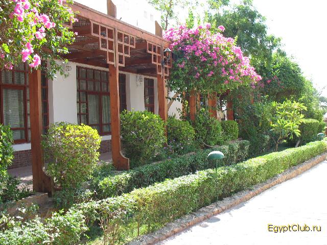 ��� ��������