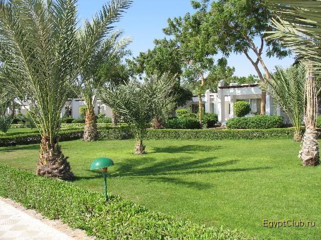 ��� ����� ������