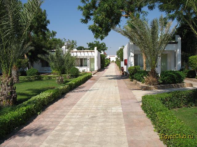 ��� �� �������