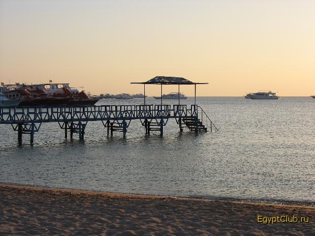 ������ � ����