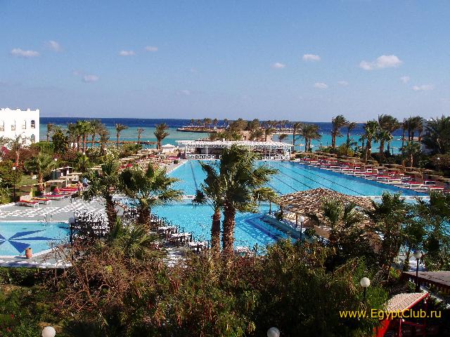 ARABIA �����