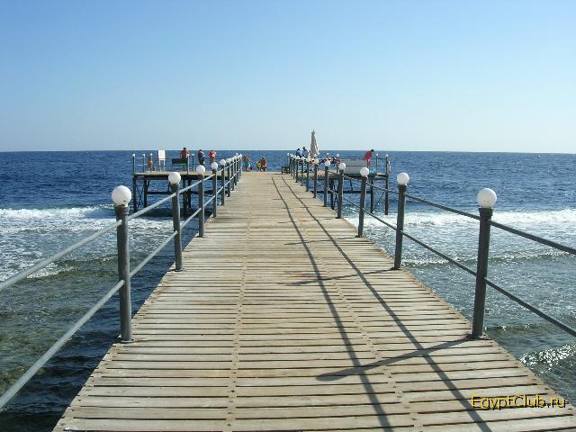 Akassia   - ������