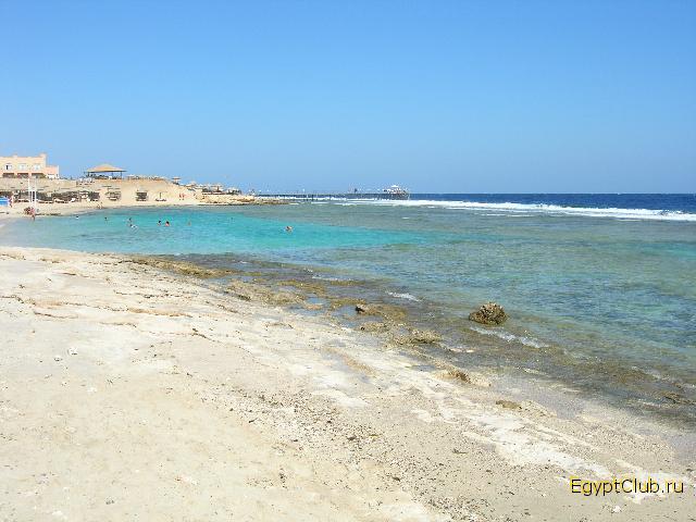 Akassia - ������� � ����