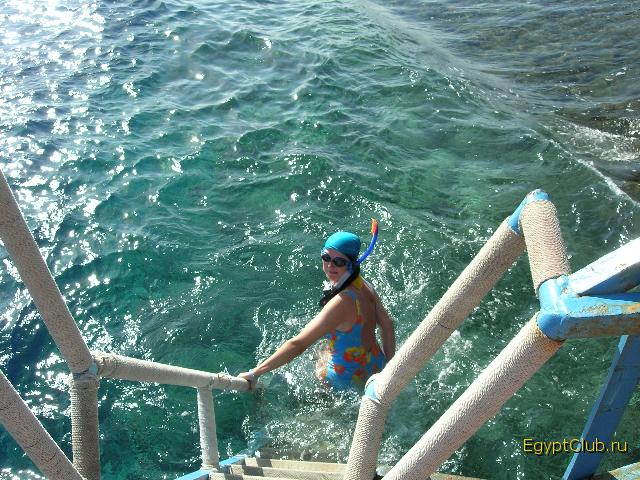 Akassia - ����� � �������