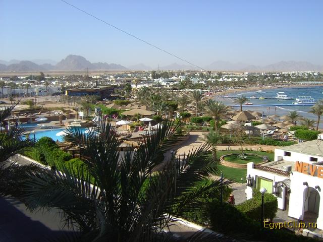 ��� � ������� ������ 346