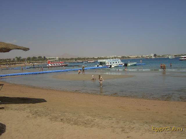 �� �����. �����