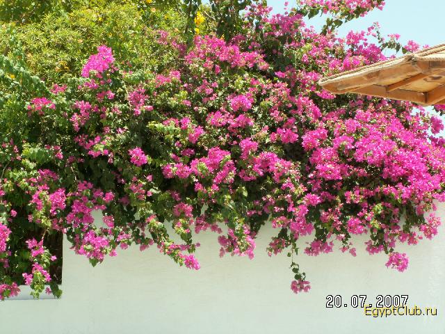 ��������4