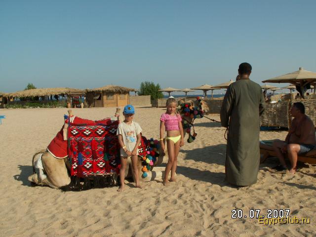 C�������4