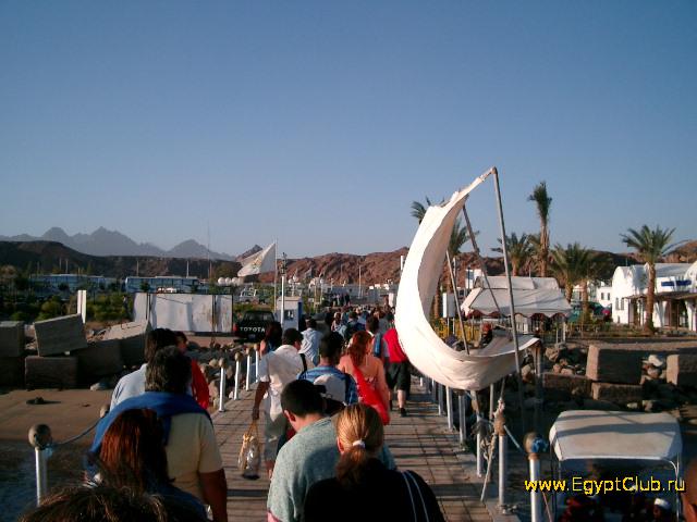 ������ � ����� ����-���-�����